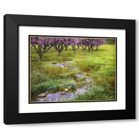 Summer Path Black Modern Wood Framed Art Print with Double Matting by Vest, Chris