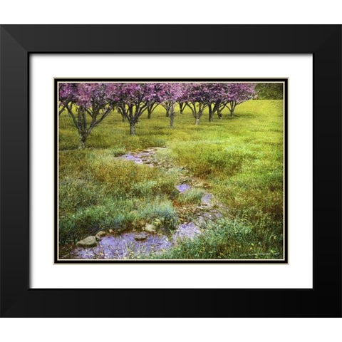 Summer Path Black Modern Wood Framed Art Print with Double Matting by Vest, Chris