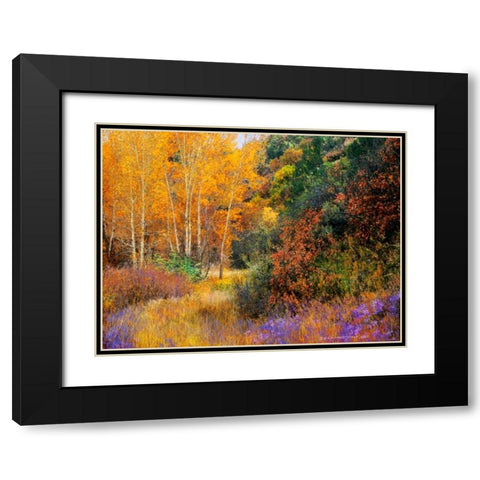 Lost Canyon Larkspurs I Black Modern Wood Framed Art Print with Double Matting by Vest, Chris