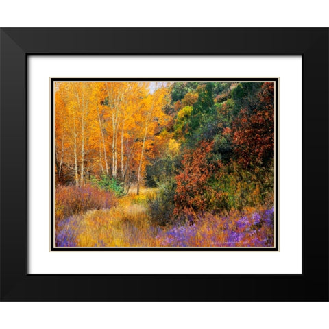 Lost Canyon Larkspurs I Black Modern Wood Framed Art Print with Double Matting by Vest, Chris