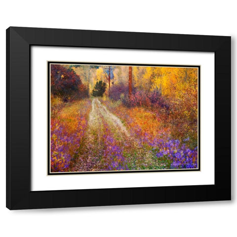 Lost Canyon Larkspurs II Black Modern Wood Framed Art Print with Double Matting by Vest, Chris