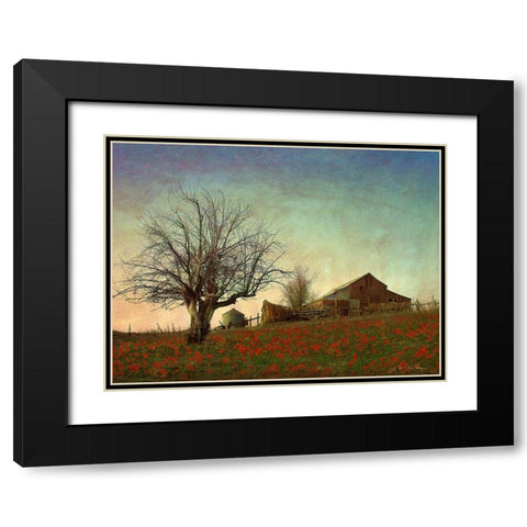 Barn on the Hill Black Modern Wood Framed Art Print with Double Matting by Vest, Chris