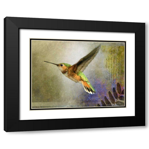 Hummer Flight Black Modern Wood Framed Art Print with Double Matting by Vest, Chris