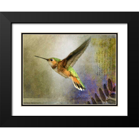 Hummer Flight Black Modern Wood Framed Art Print with Double Matting by Vest, Chris
