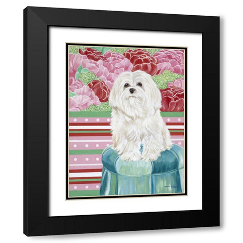 Della Rose Maltese Black Modern Wood Framed Art Print with Double Matting by Vitaletti, Carolee