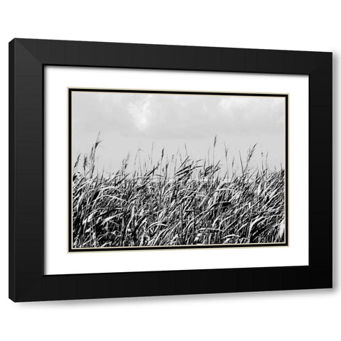 Dune Triptych I Black Modern Wood Framed Art Print with Double Matting by Pica, Jeff