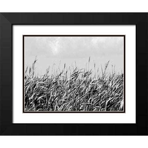 Dune Triptych I Black Modern Wood Framed Art Print with Double Matting by Pica, Jeff
