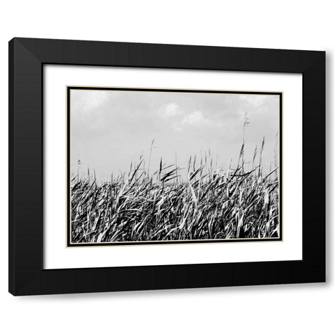Dune Triptych II Black Modern Wood Framed Art Print with Double Matting by Pica, Jeff