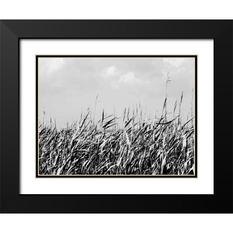 Dune Triptych II Black Modern Wood Framed Art Print with Double Matting by Pica, Jeff