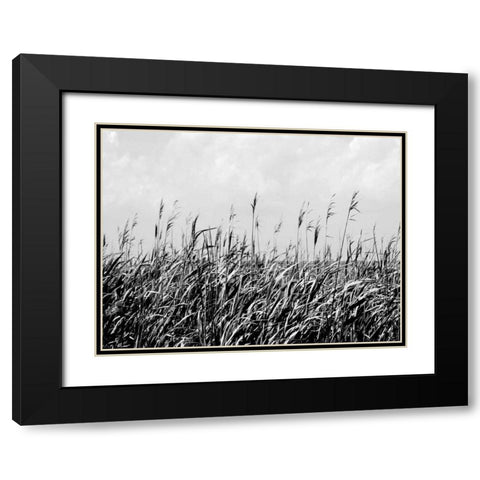 Dune Triptych III Black Modern Wood Framed Art Print with Double Matting by Pica, Jeff