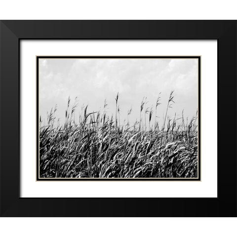 Dune Triptych III Black Modern Wood Framed Art Print with Double Matting by Pica, Jeff