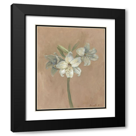 Blooms and Stems IV Black Modern Wood Framed Art Print with Double Matting by Cohen, Marietta