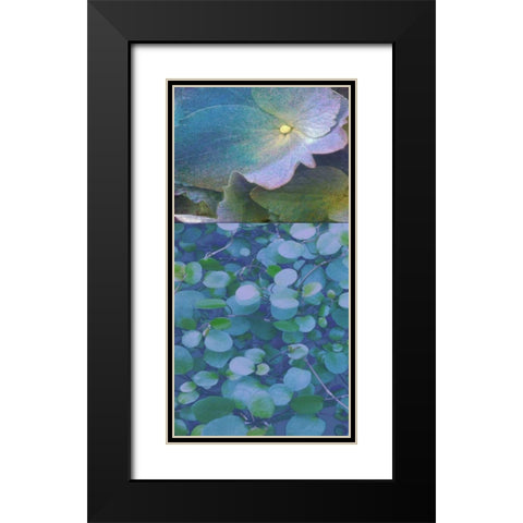 Hydrangea Mix I Black Modern Wood Framed Art Print with Double Matting by Mountain, Ricki