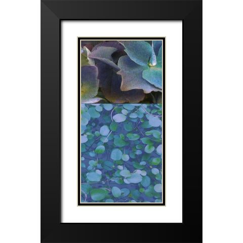 Hydrangea Mix II Black Modern Wood Framed Art Print with Double Matting by Mountain, Ricki