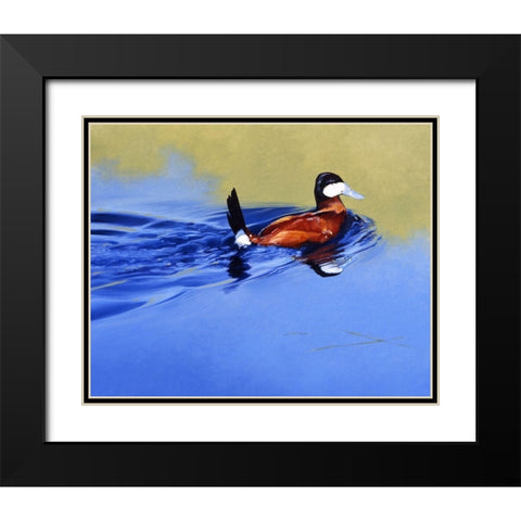Ruddy and Blue Black Modern Wood Framed Art Print with Double Matting by Chapman, Julie T.