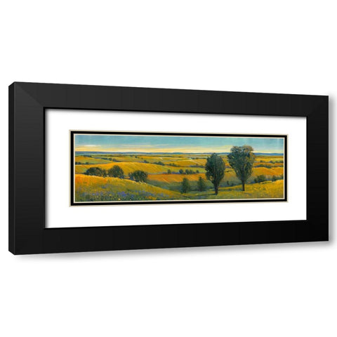 Picturesque Scene II Black Modern Wood Framed Art Print with Double Matting by OToole, Tim