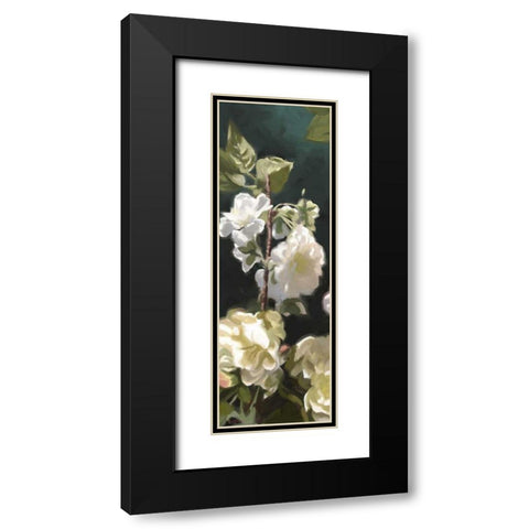 White Roses IV Black Modern Wood Framed Art Print with Double Matting by Novak, Rick