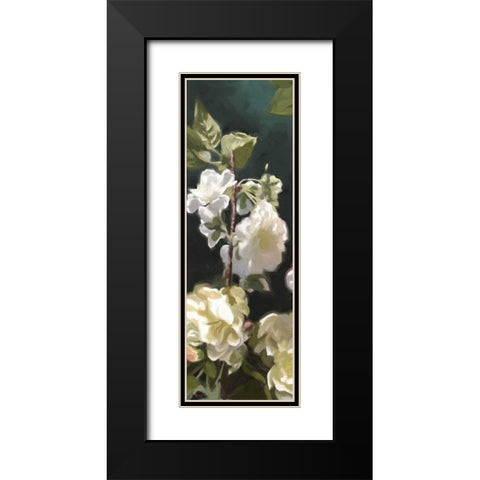 White Roses IV Black Modern Wood Framed Art Print with Double Matting by Novak, Rick