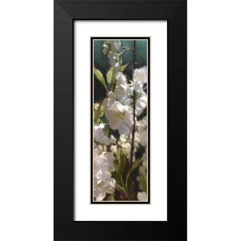 White Roses V Black Modern Wood Framed Art Print with Double Matting by Novak, Rick