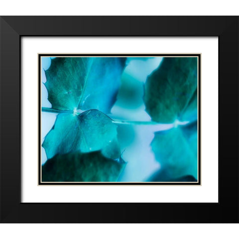 Intricacies I Black Modern Wood Framed Art Print with Double Matting by Teton Parchment