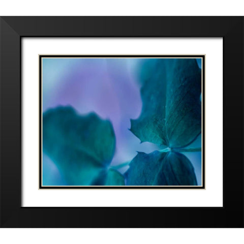 Intricacies II Black Modern Wood Framed Art Print with Double Matting by Teton Parchment