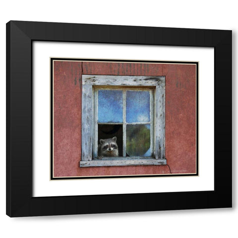 Raccoon Window Black Modern Wood Framed Art Print with Double Matting by Vest, Chris