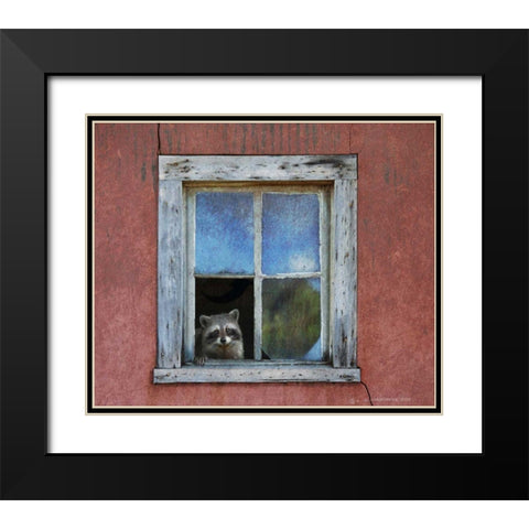 Raccoon Window Black Modern Wood Framed Art Print with Double Matting by Vest, Chris