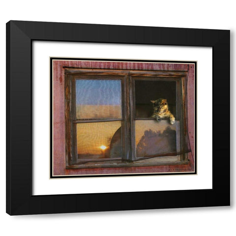 Kitten Window Black Modern Wood Framed Art Print with Double Matting by Vest, Chris