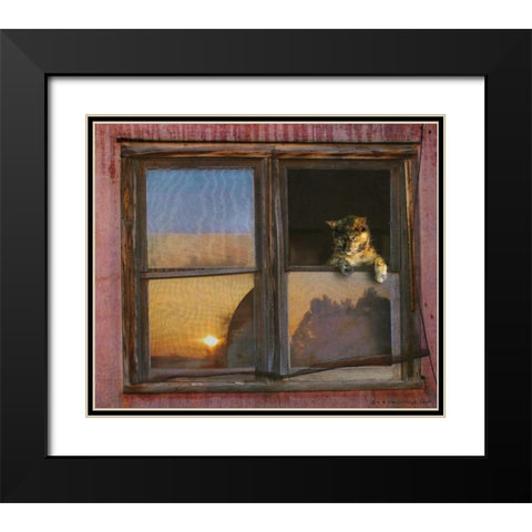 Kitten Window Black Modern Wood Framed Art Print with Double Matting by Vest, Chris