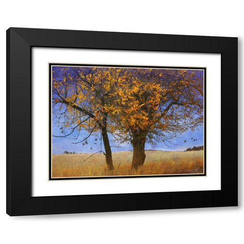 Yellow Elm Black Modern Wood Framed Art Print with Double Matting by Vest, Chris