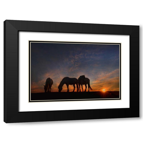 Camargue Sunrise Black Modern Wood Framed Art Print with Double Matting by PHBurchett