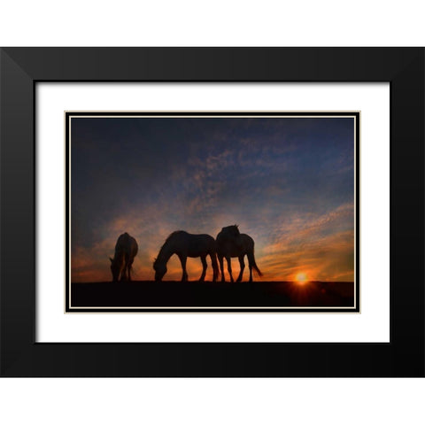 Camargue Sunrise Black Modern Wood Framed Art Print with Double Matting by PHBurchett