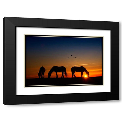 Fly Over Black Modern Wood Framed Art Print with Double Matting by PHBurchett