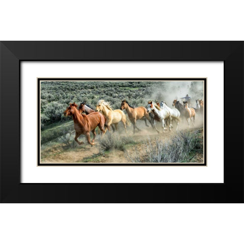 Stampede I Black Modern Wood Framed Art Print with Double Matting by PHBurchett
