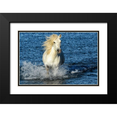 Blue Sea Black Modern Wood Framed Art Print with Double Matting by PHBurchett