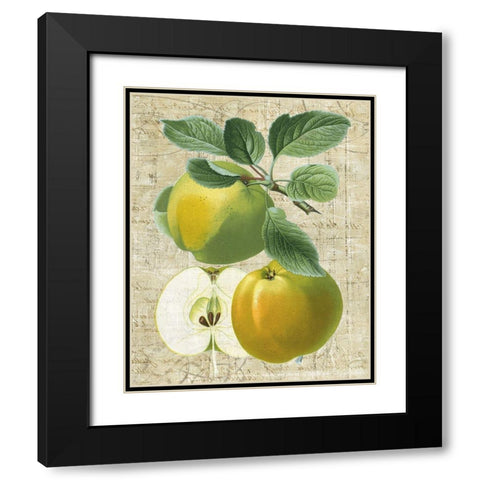 Orchard Medley I Black Modern Wood Framed Art Print with Double Matting by Vision Studio