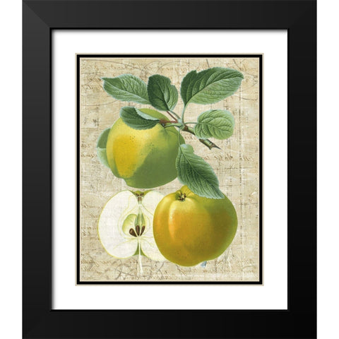 Orchard Medley I Black Modern Wood Framed Art Print with Double Matting by Vision Studio