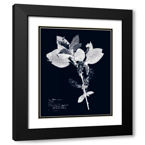 Impressions on Indigo I Black Modern Wood Framed Art Print with Double Matting by Vision Studio