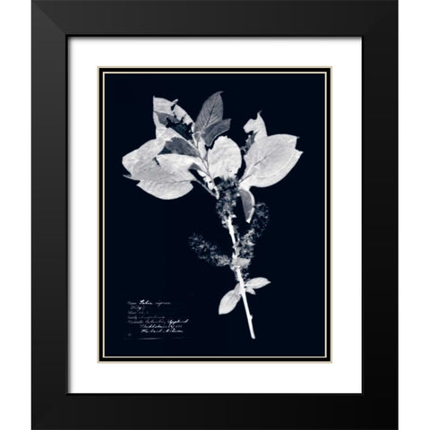 Impressions on Indigo I Black Modern Wood Framed Art Print with Double Matting by Vision Studio