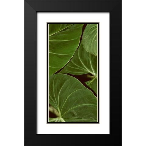 Patterned Nature III Black Modern Wood Framed Art Print with Double Matting by Vision Studio