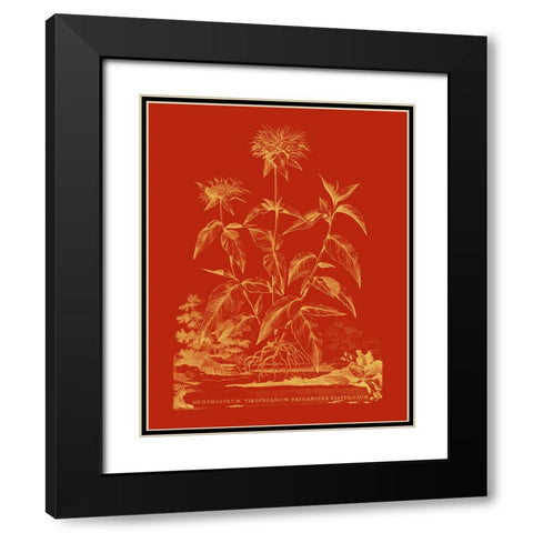 Paprika Bouquet II Black Modern Wood Framed Art Print with Double Matting by Vision Studio