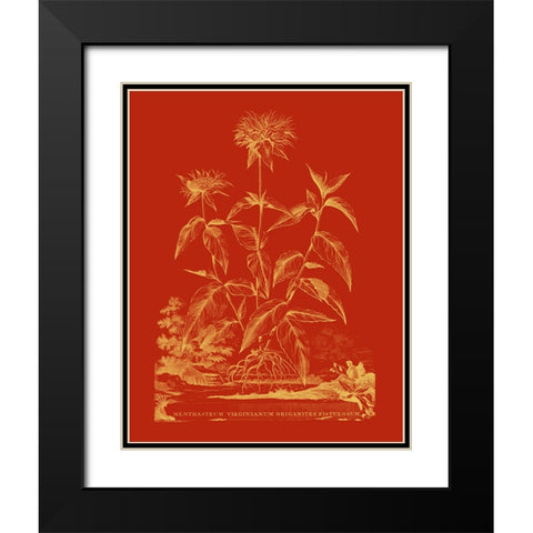 Paprika Bouquet II Black Modern Wood Framed Art Print with Double Matting by Vision Studio
