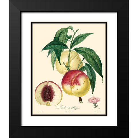 Bessa Peaches Black Modern Wood Framed Art Print with Double Matting by Bessa