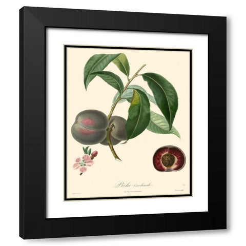 Bessa Plums Black Modern Wood Framed Art Print with Double Matting by Bessa