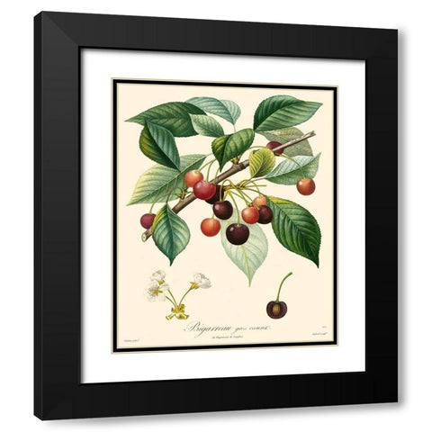 Bessa Cherries Black Modern Wood Framed Art Print with Double Matting by Bessa