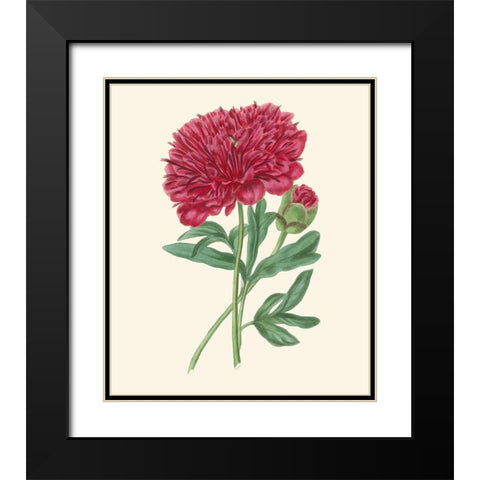 Summer Blush II Black Modern Wood Framed Art Print with Double Matting by Smith, E. D.