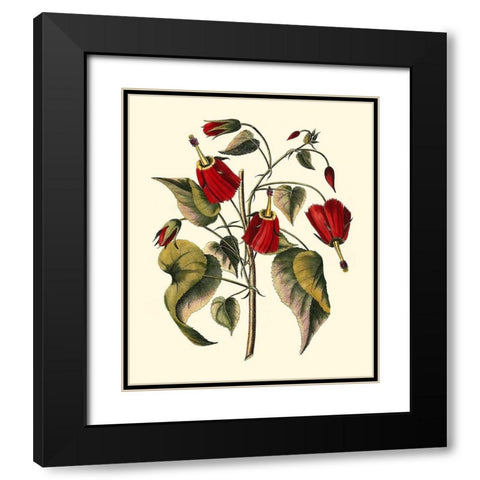 Jennas Flowers I Black Modern Wood Framed Art Print with Double Matting by Sellier