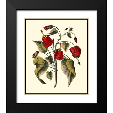 Jennas Flowers I Black Modern Wood Framed Art Print with Double Matting by Sellier