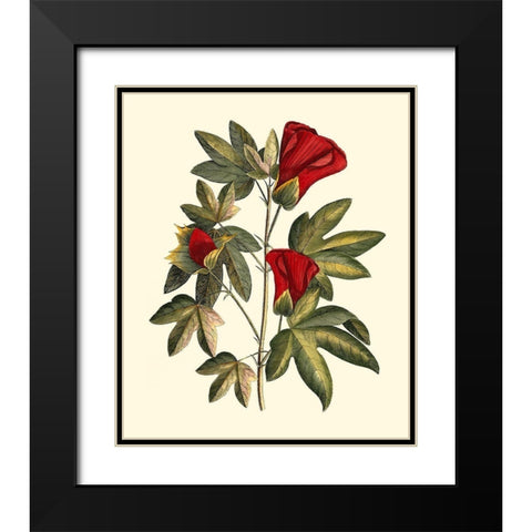 Jennas Flowers II Black Modern Wood Framed Art Print with Double Matting by Sellier