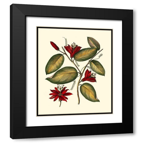 Jennas Flowers III Black Modern Wood Framed Art Print with Double Matting by Sellier